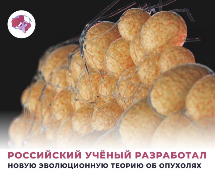 Согласно теории профессора Андрея Козлова