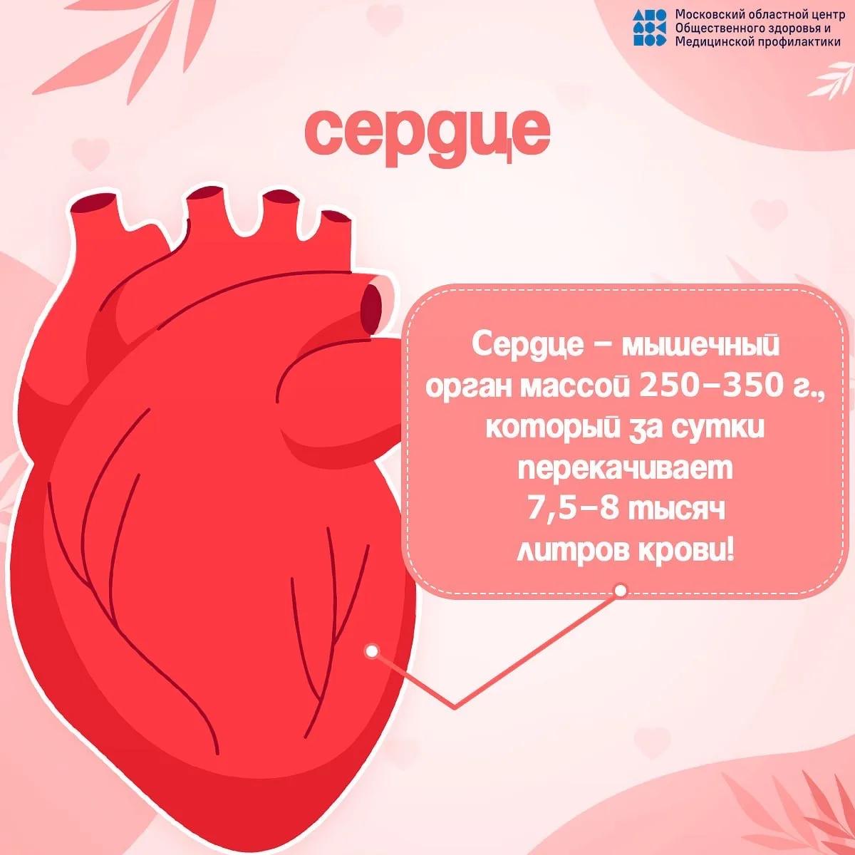 10 – 16 августа – Неделя профилактики сердечно-сосудистых заболеваний