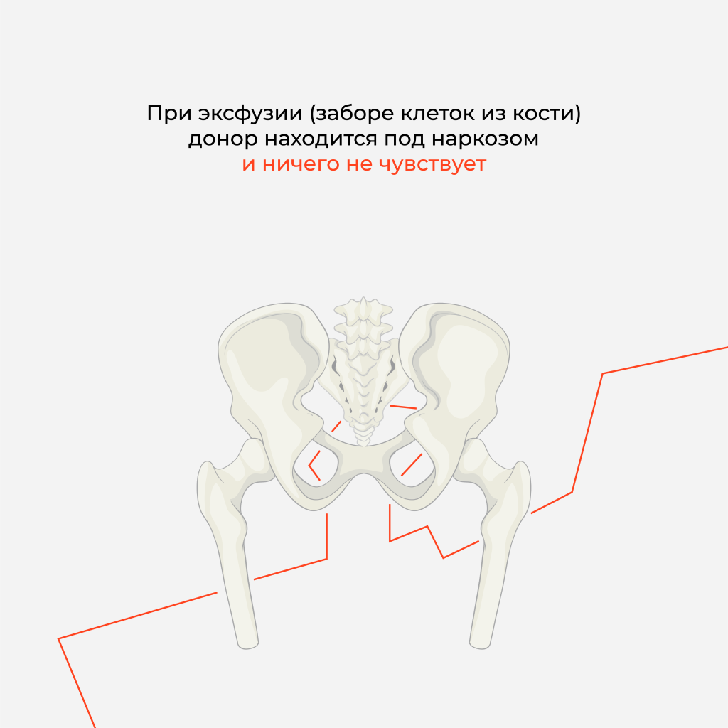 мифы о КМ-04.png