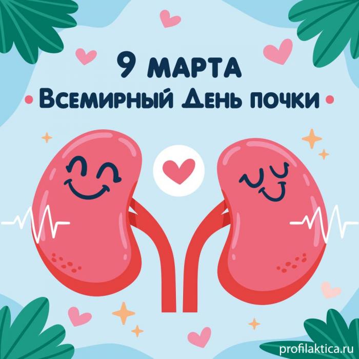 9 МАРТА - ВСЕМИРНЫЙ ДЕНЬ ПОЧКИ